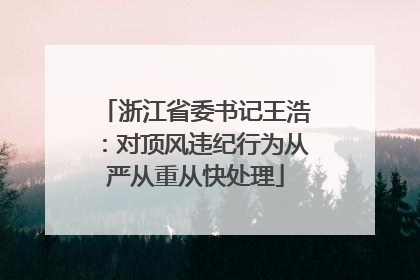 浙江省委书记王浩：对顶风违纪行为从严从重从快处理