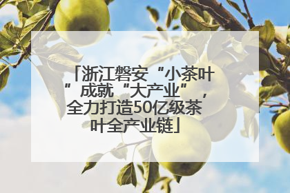 浙江磐安“小茶叶”成就“大产业”，全力打造50亿级茶叶全产业链