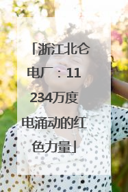 浙江北仑电厂：11234万度电涌动的红色力量