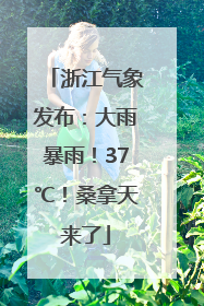 浙江气象发布：大雨暴雨！37℃！桑拿天来了