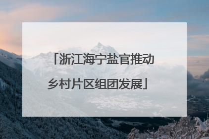 浙江海宁盐官推动乡村片区组团发展