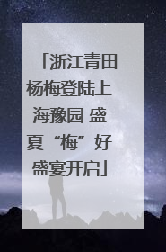 浙江青田杨梅登陆上海豫园 盛夏“梅”好盛宴开启