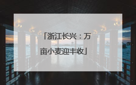 浙江长兴：万亩小麦迎丰收