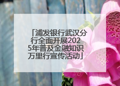 浦发银行武汉分行全面开展2025年普及金融知识万里行宣传活动