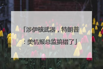 涉伊核武器，特朗普：美情报总监搞错了