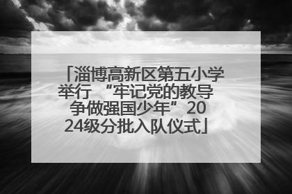 淄博高新区第五小学举行 “牢记党的教导 争做强国少年”2024级分批入队仪式