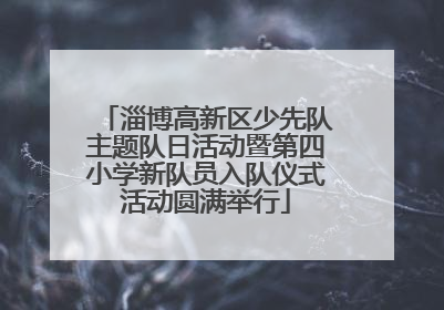 淄博高新区少先队主题队日活动暨第四小学新队员入队仪式活动圆满举行