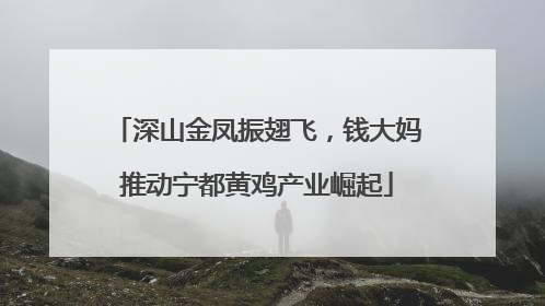 深山金凤振翅飞，钱大妈推动宁都黄鸡产业崛起