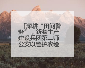 深耕“田间警务”，新疆生产建设兵团第二师公安以警护农绘就乡村振兴平安画卷