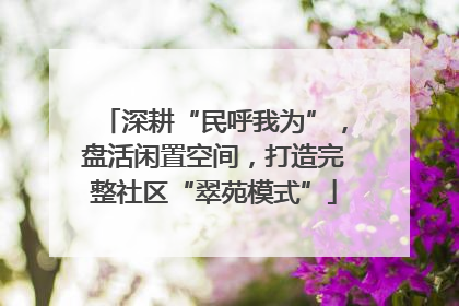 深耕“民呼我为”，盘活闲置空间，打造完整社区“翠苑模式”