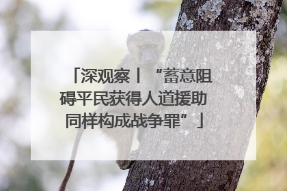 深观察丨“蓄意阻碍平民获得人道援助同样构成战争罪”