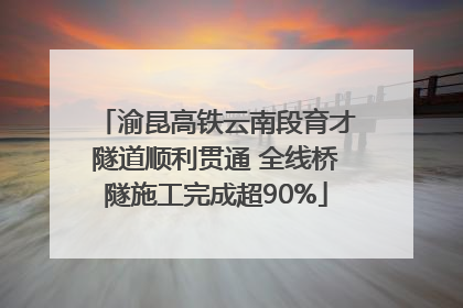 渝昆高铁云南段育才隧道顺利贯通 全线桥隧施工完成超90%