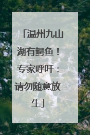 温州九山湖有鳄鱼！专家呼吁：请勿随意放生