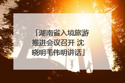 湖南省入境旅游推进会议召开 沈晓明毛伟明讲话