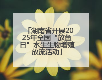 湖南省开展2025年全国“放鱼日”水生生物增殖放流活动