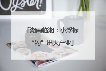 湖南临湘：小浮标“钓”出大产业