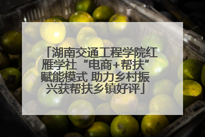湖南交通工程学院红雁学社“电商+帮扶”赋能模式 助力乡村振兴获帮扶乡镇好评