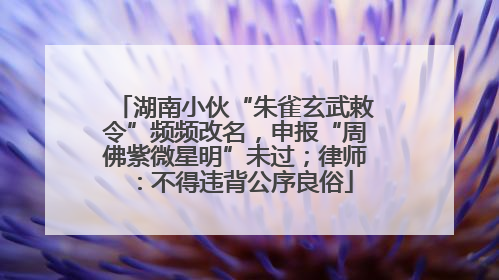 湖南小伙“朱雀玄武敕令”频频改名，申报“周佛紫微星明”未过；律师：不得违背公序良俗