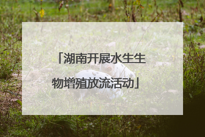 湖南开展水生生物增殖放流活动