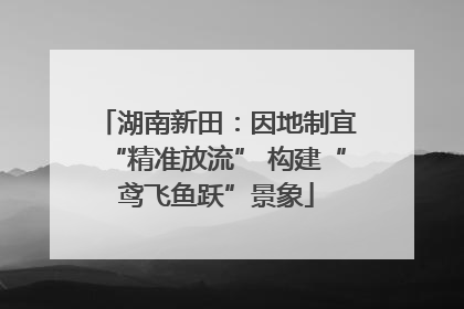 湖南新田：因地制宜“精准放流” 构建“鸢飞鱼跃”景象