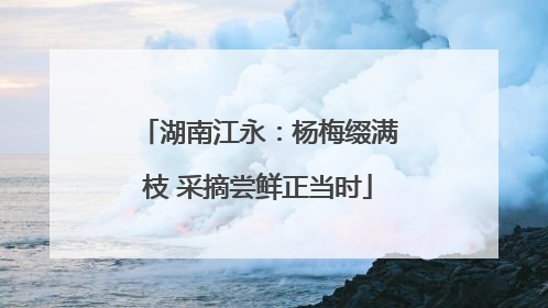 湖南江永：杨梅缀满枝 采摘尝鲜正当时