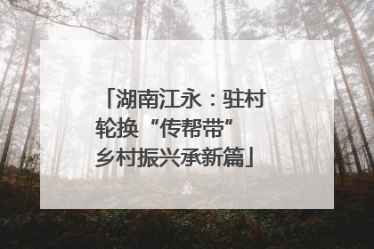 湖南江永：驻村轮换“传帮带” 乡村振兴承新篇