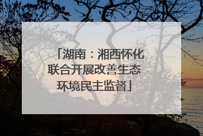 湖南：湘西怀化联合开展改善生态环境民主监督