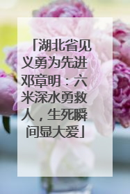 湖北省见义勇为先进邓章明：六米深水勇救人，生死瞬间显大爱