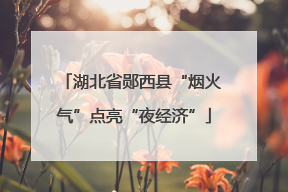 湖北省郧西县“烟火气”点亮“夜经济”