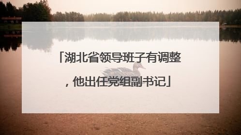 湖北省领导班子有调整，他出任党组副书记