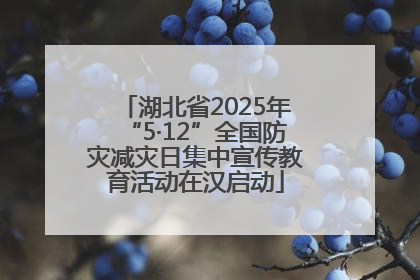 湖北省2025年“5·12”全国防灾减灾日集中宣传教育活动在汉启动