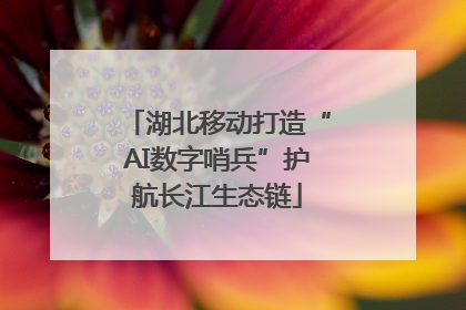 湖北移动打造“AI数字哨兵”护航长江生态链