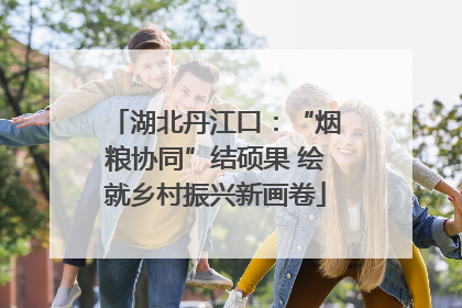 湖北丹江口：“烟粮协同”结硕果 绘就乡村振兴新画卷