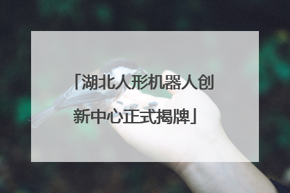 湖北人形机器人创新中心正式揭牌