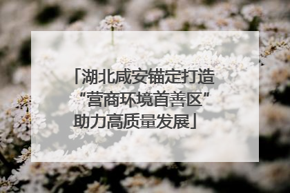湖北咸安锚定打造“营商环境首善区”助力高质量发展