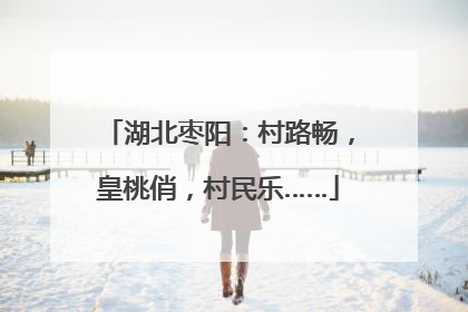 湖北枣阳：村路畅，皇桃俏，村民乐……