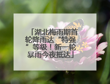 湖北梅雨期首轮降雨达“特强”等级！新一轮暴雨今夜抵达