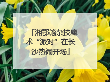 湘鄂赣杂技魔术“派对”在长沙热闹开场
