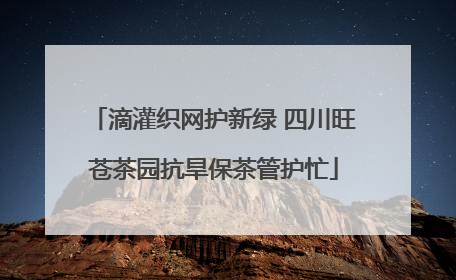 滴灌织网护新绿 四川旺苍茶园抗旱保茶管护忙