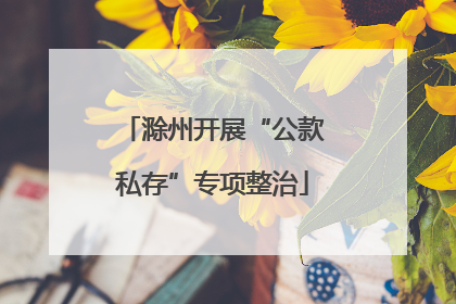 滁州开展“公款私存”专项整治
