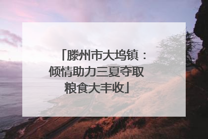 滕州市大坞镇：倾情助力三夏夺取粮食大丰收
