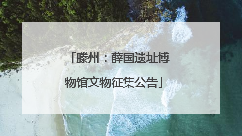 滕州：薛国遗址博物馆文物征集公告
