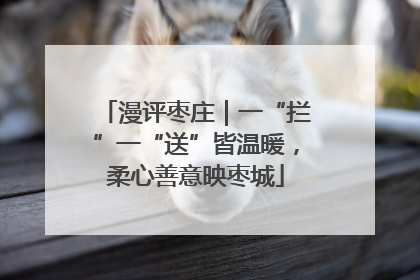 漫评枣庄｜一“拦”一“送”皆温暖，柔心善意映枣城