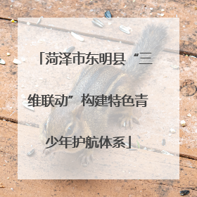 菏泽市东明县“三维联动”构建特色青少年护航体系