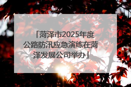 菏泽市2025年度公路防汛应急演练在菏泽发展公司举办
