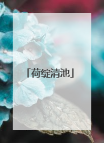 荷绽清池