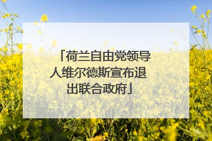 荷兰自由党领导人维尔德斯宣布退出联合政府
