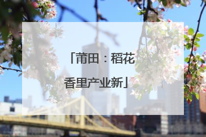 莆田：稻花香里产业新
