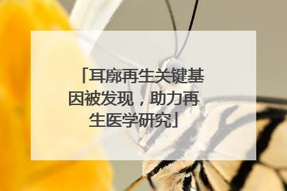 耳廓再生关键基因被发现，助力再生医学研究