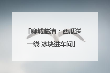 聊城临清：西瓜送一线 冰块进车间